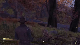 Fallout76 ＃4　虫退治