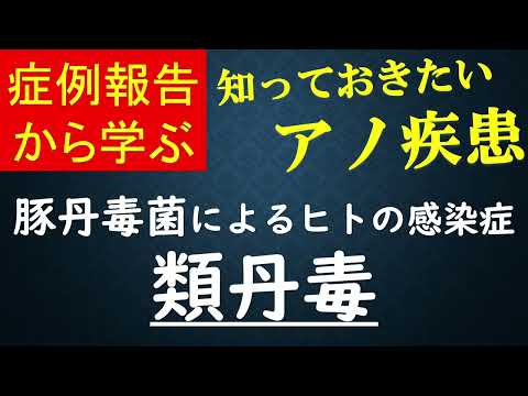 丹毒について詳しく解説
