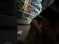 Pijat Pasutri Bahagia Dan Sehat