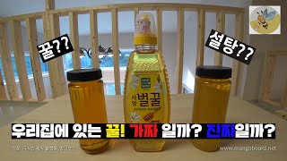 진짜꿀?가짜꿀? 어떤 꿀이 진짜일까?! 알면 유용한 꿀구분법(feat.꿀나눔이벤트)