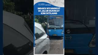 Imbas Ngaku Nyangkut di Jalur Busway, Selebgram Zoe Levana Kini Ditilang Dishub DKI Jakarta