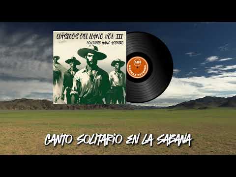 Canto Solitario en la Sabana - Conjunto Llano Adentro | Instrumental Llanero 🌾🎻