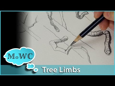 How to Draw & Paint Better Tree Branches Video