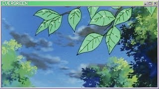 sad boy with a laptop - evergreen