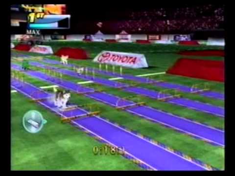 Petz Sports : Chiots & Compagnie Wii