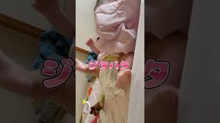 もがくうちの子 / struggling with something #shorts