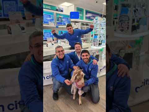 Es cabra, visitó la sucursal de Metán-Salta y es argentina 🇦🇷