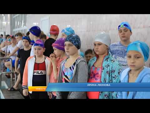 В Курске прошли соревнования по плаванию среди детей