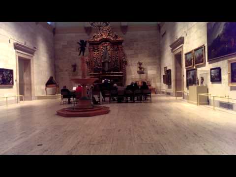 Baroque Organ - Rochester Memorial Art Gallery