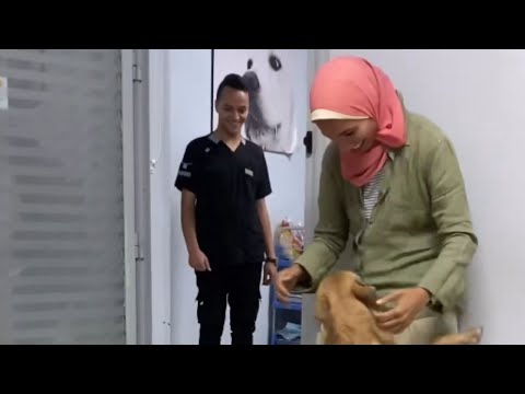 Excited dogs give hooman a TRIUMPHANT welcome during their reunion after 10 days || WooGlobe