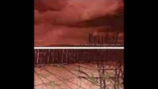 coalesce - black dog