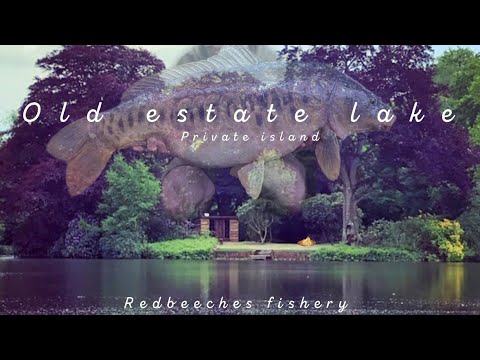 Fishing A Private Island || Old Estate Lake || Redbeeches Fishery 🎥