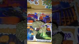 Video 29
