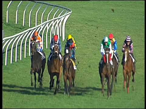 Galoppo 13/02/2016 - 3° corsa