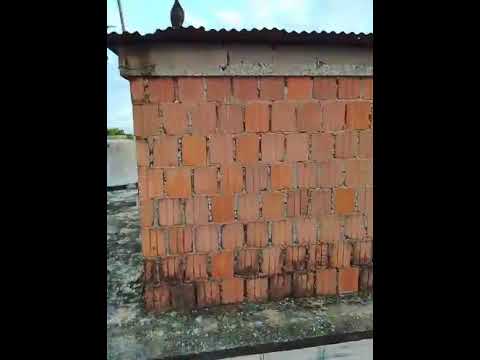 Mi 2 pichone dando sus primeras voladas