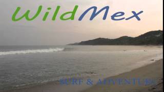 WildMex; Sayulita, Nayarit.