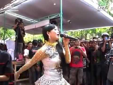 Palapa yessy leha oh leha