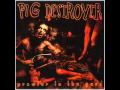 pig destroyer - ghost of a bullet - slhEaplez pig destroyer - ghost of a bullet