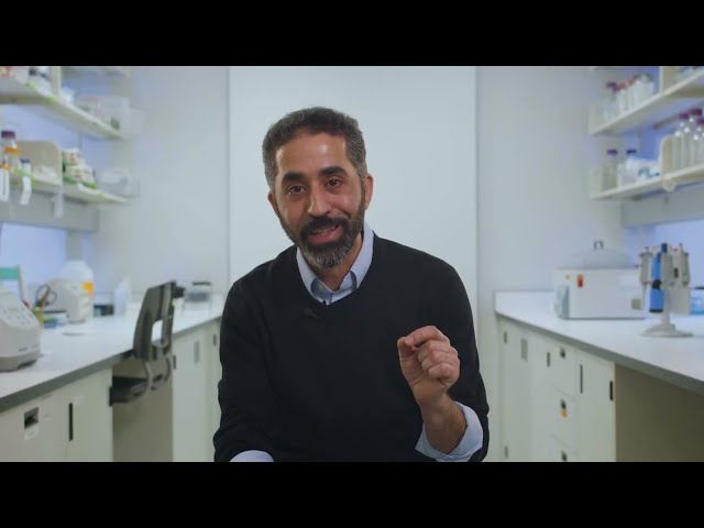 Les visages de la recherche: Saïd Kourrich