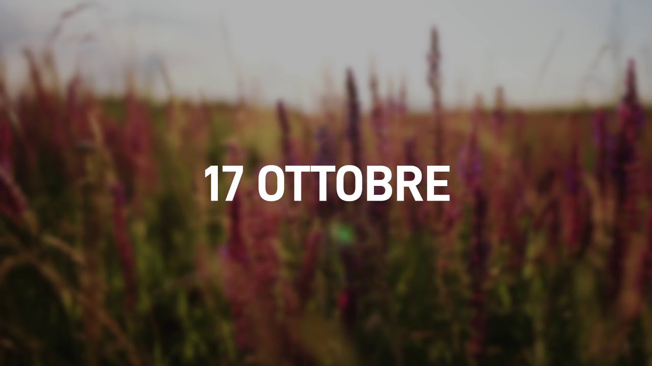 17 Ottobre 2025 | Meditazione Parole di Vita