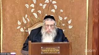 הרה"ג הרב וועכטר שליט"א ז' שבט תשפ"ה - מאמר הרבי הריי"צ ד"ה באתי לגני (הרב אברהם מנחם מענדל וכטר) - התמונה מוצגת ישירות מתוך אתר האינטרנט יוטיוב. זכויות היוצרים בתמונה שייכות ליוצרה. קישור קרדיט למקור התוכן נמצא בתוך דף הסרטון