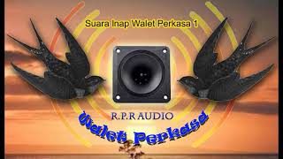 Download lagu Suara Inap Walet Perkasa 1 mp3
