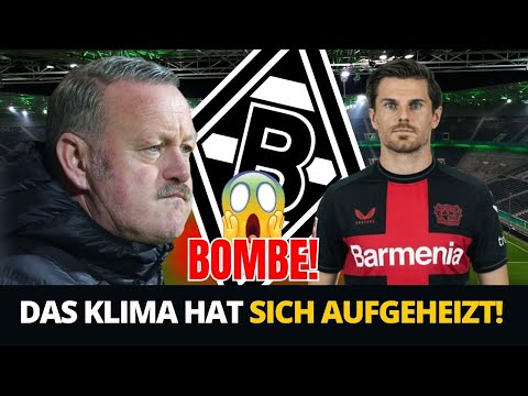🚨🔥BOMBE! SEHEN SIE, WAS HOFMANN ÜBER VIRKUS SAGT! ENDLOSE KONTROVERSE... M'GLADBACH⚫⚪🟢