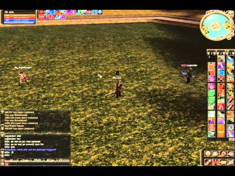 L2 Phoenix PvP in Coliseum