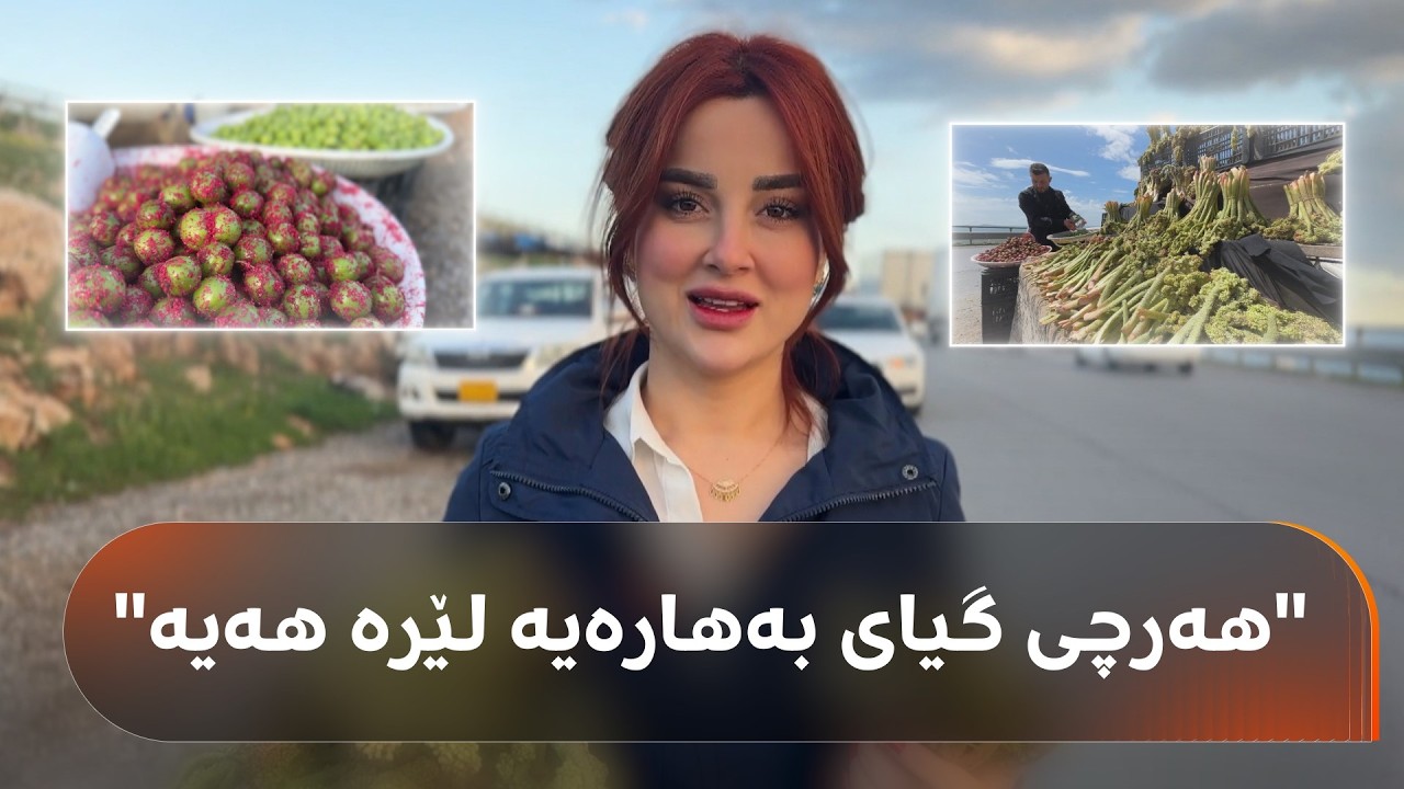 ڤیدیۆ | لە پێچەکانی سپیلک هەموو جۆرە گیایەکی بەهارە دەفرۆشرێت و بەوێدا بڕۆی هەر حەزدەکەی بیکڕی