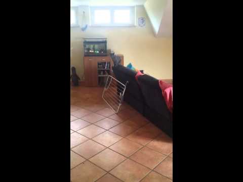 Deomatto Vs stendino