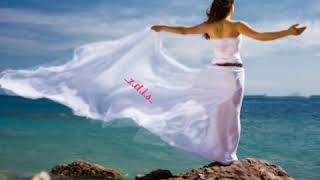 Hakkı Demircioğlu/ BEN DENİZDE BİR GEMİ