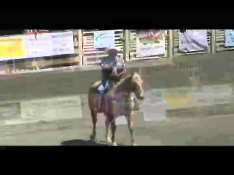 Rodeo Highlights