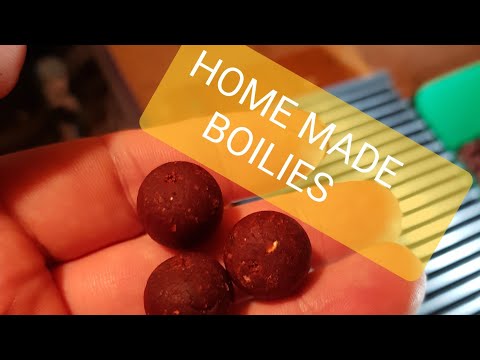 A GUIDE TO MAKING BOILIES | CARP FISHING | BOTTOM BAITS #homemadebaits #boilies #carpfishing