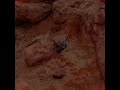 Lmfao Aloy deaths, i sh*t myself mega diarrhea