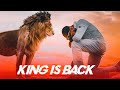 Bandeya Re Bandeya Ft Virat Kohli VIRAT KOHLI WHATSAPP STATUS Virat Kohli Comeback Edit