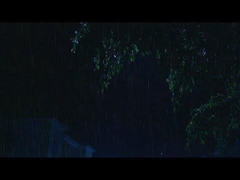 Soothing Gentle Spring Rain in the Old Park at Night | 10 Hours for Relaxation and Sleep