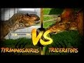 Dinosaur Battles - Tyrannosaurus VS Triceratops ...