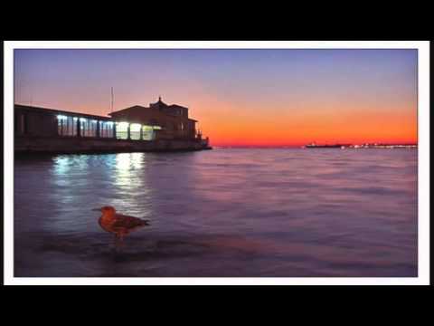 Aerial Promenade - Seagull Orchestra