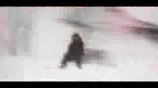 Ana Johnsson - Catch me if you can