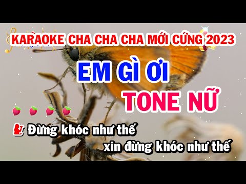 Karaoke Nhạc Sống || Em Gì Ơi || Tone Nữ Cha Cha Cha Mới Cứng 2023 || Keyboard Khanh Organ Sx900 ||