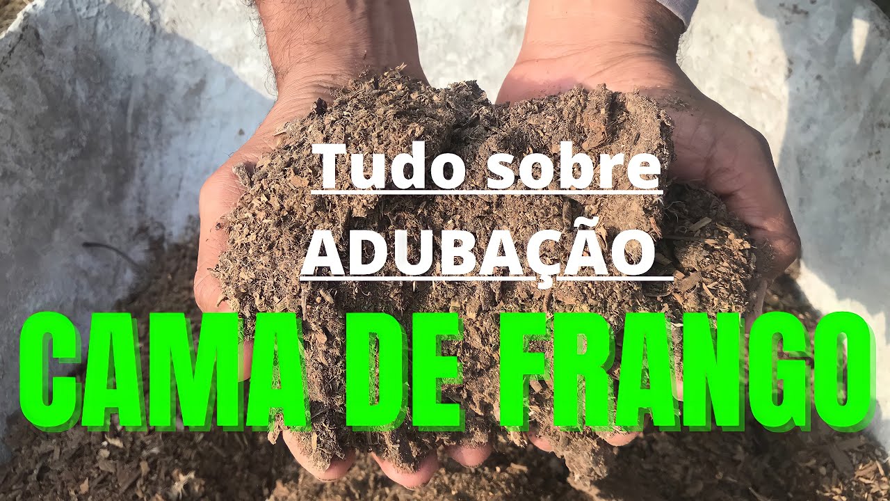 Cama de frango: Que quantidade usar na adubação das hortaliças ??