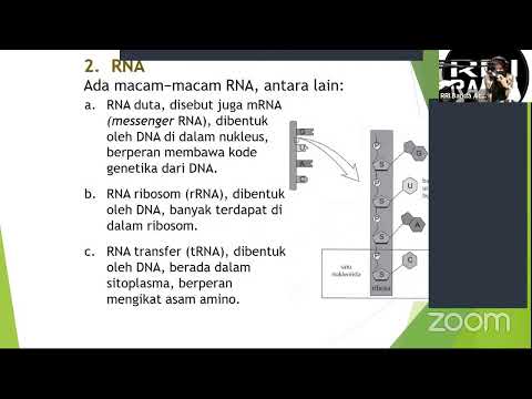 Belajar di RRI Pro 2 mapel Biologi ( SMA ) Kelas XII