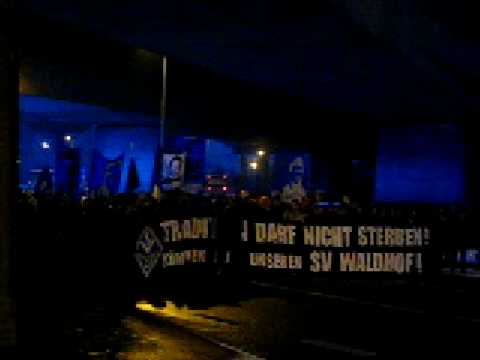 Waldhof Mannheim, wir sind dir treu !!!