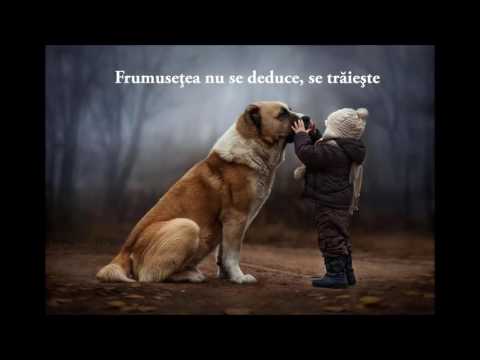 Frumusețea care va salva lumea (Ioan Bute)