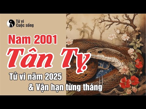 Tan Ty 2001 male - Detailed Horoscope 2025