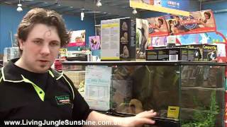 Reptile Enclosure Terrapack | Living Jungle Pet Shop Melbourne