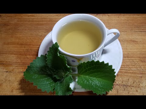 Boost your Immunity | Fight Cold & Flu with this Tea | Thyme Tea