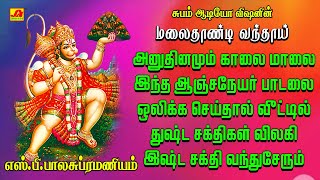 Download lagu மலைதாண்டி வந்தாய் ஆஞ்சநேயர் பாடல் | MALAI THANDI VANDHAIYE SONG| #aanjaneya #SPB hanuman hit songs mp3 Download lagu மலைதாண்டி வந்தாய் ஆஞ்சநேயர் பாடல் | MALAI THANDI VANDHAIYE SONG| #aanjaneya #SPB hanuman hit songs mp3