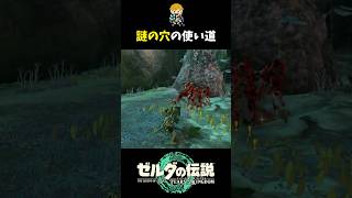 地底にある謎の穴に魔物を入れてデスゲームさせる英傑 #shorts  #ゼルダの伝説ティアーズオブザキングダム #ティアキン