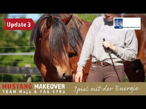 MUSTANG MAKEOVER 2022 -  Vom Treten zum Folgen mit dem Stick🤩 | Team Maja Update 3